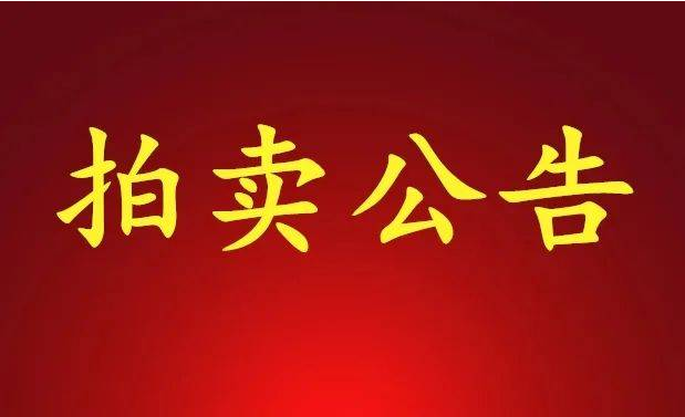 拍卖公告范文_三秦都市报登报热线_029-87619041